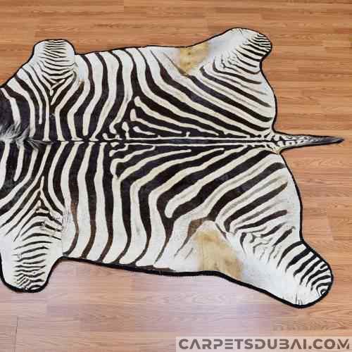 Zebra Hide (7)